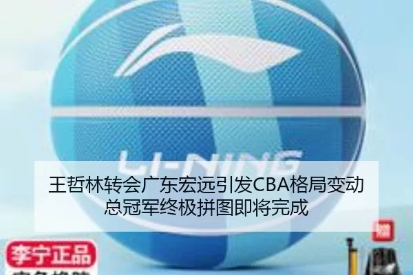 王哲林转会广东宏远引发CBA格局变动 总冠军终极拼图即将完成（Kaiyun）